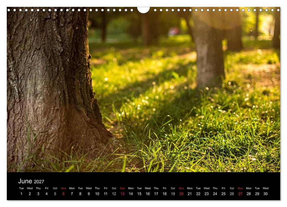 Landscapes from Romania (CALVENDO Monthly Calendar 2027)