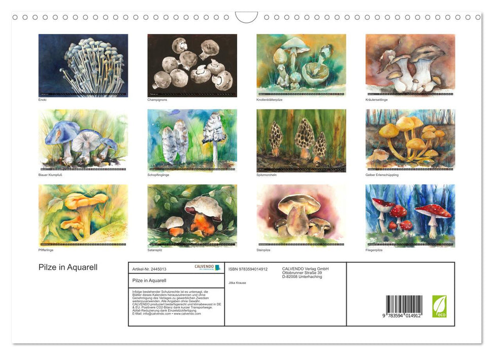 Pilze in Aquarell (CALVENDO Wandkalender 2027)