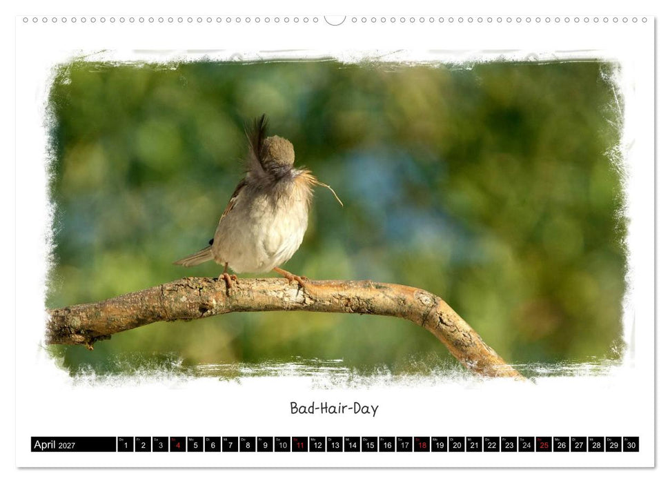 Tierisch witzig (CALVENDO Premium Wandkalender 2027)