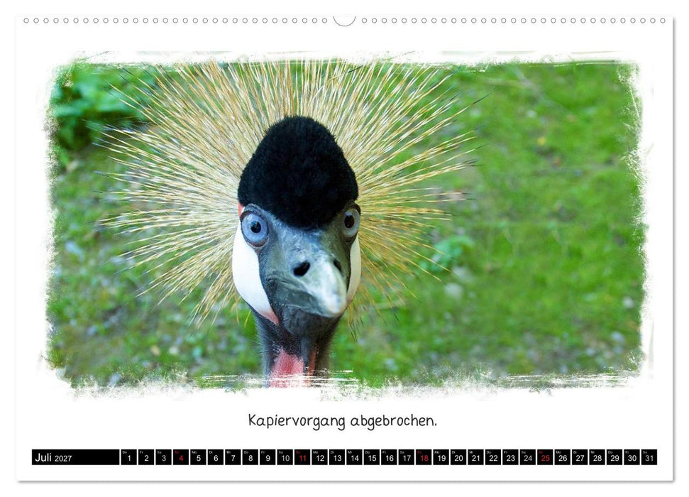 Tierisch witzig (CALVENDO Premium Wandkalender 2027)