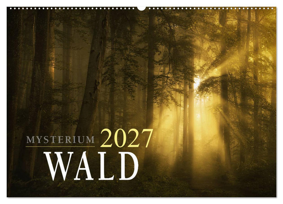 Mysterium Wald (CALVENDO Wandkalender 2027)