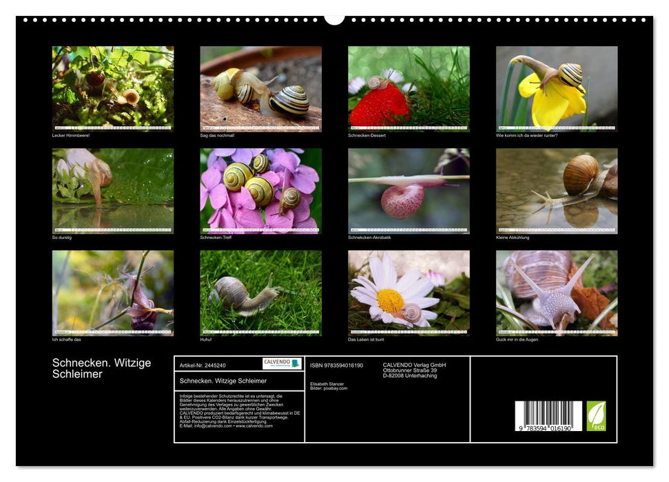 Schnecken. Witzige Schleimer (CALVENDO Premium Wandkalender 2027)