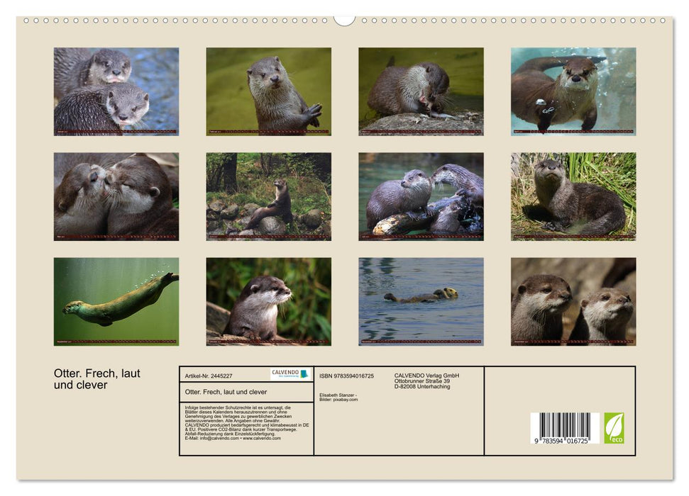 Otter. Frech, laut und clever (CALVENDO Premium Wandkalender 2027)