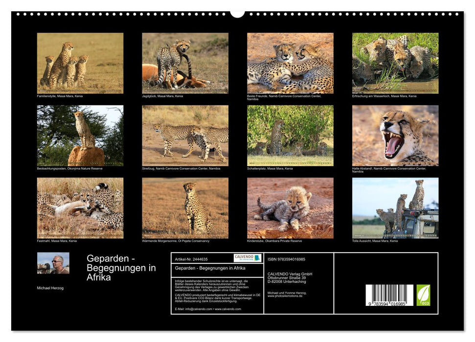 Geparden - Begegnungen in Afrika (CALVENDO Premium Wandkalender 2027)