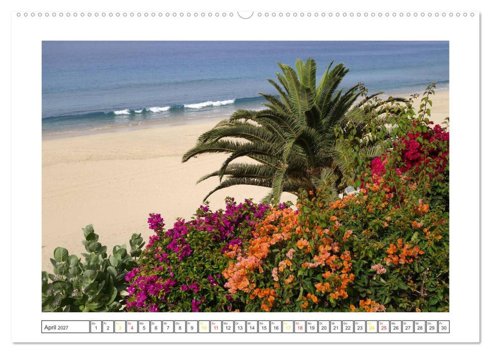 Fuerteventura - Insel im Licht (CALVENDO Premium Wandkalender 2027)