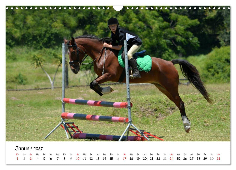 Pony Springreiten (CALVENDO Wandkalender 2027)