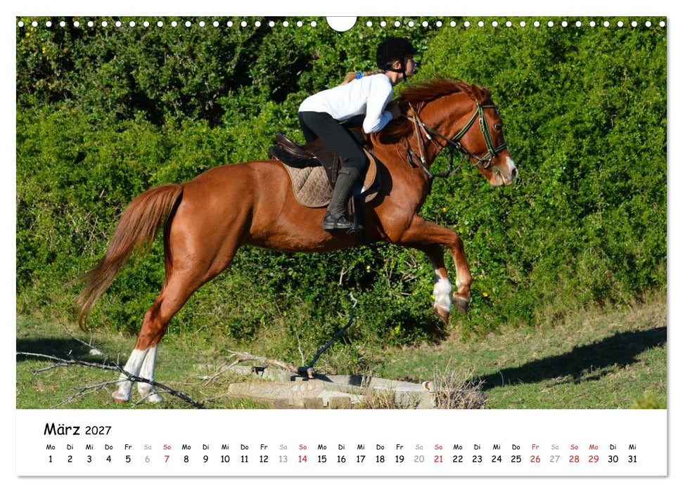 Pony Springreiten (CALVENDO Wandkalender 2027)