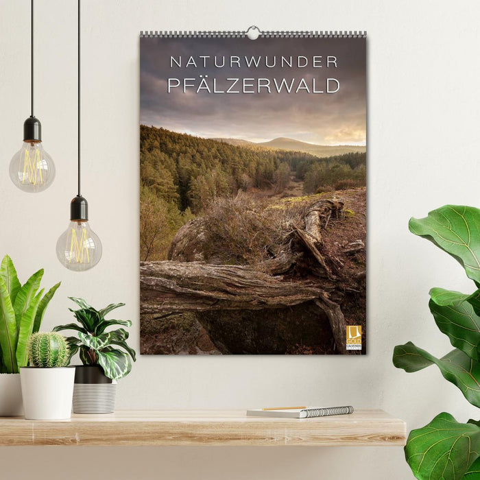 NATURWUNDER PFÄLZERWALD (CALVENDO Wandkalender 2027)