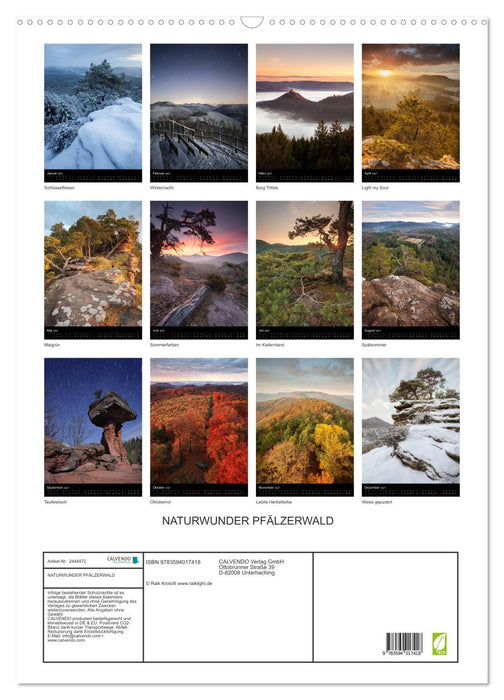 NATURWUNDER PFÄLZERWALD (CALVENDO Wandkalender 2027)