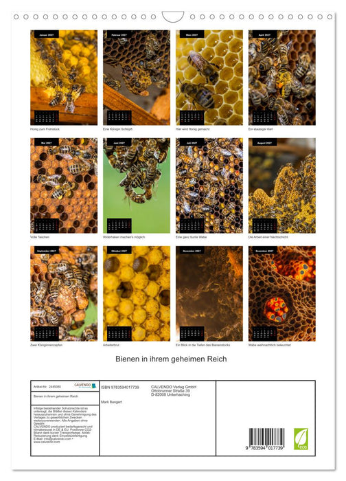 Bienen in ihrem geheimen Reich (CALVENDO Wandkalender 2027)