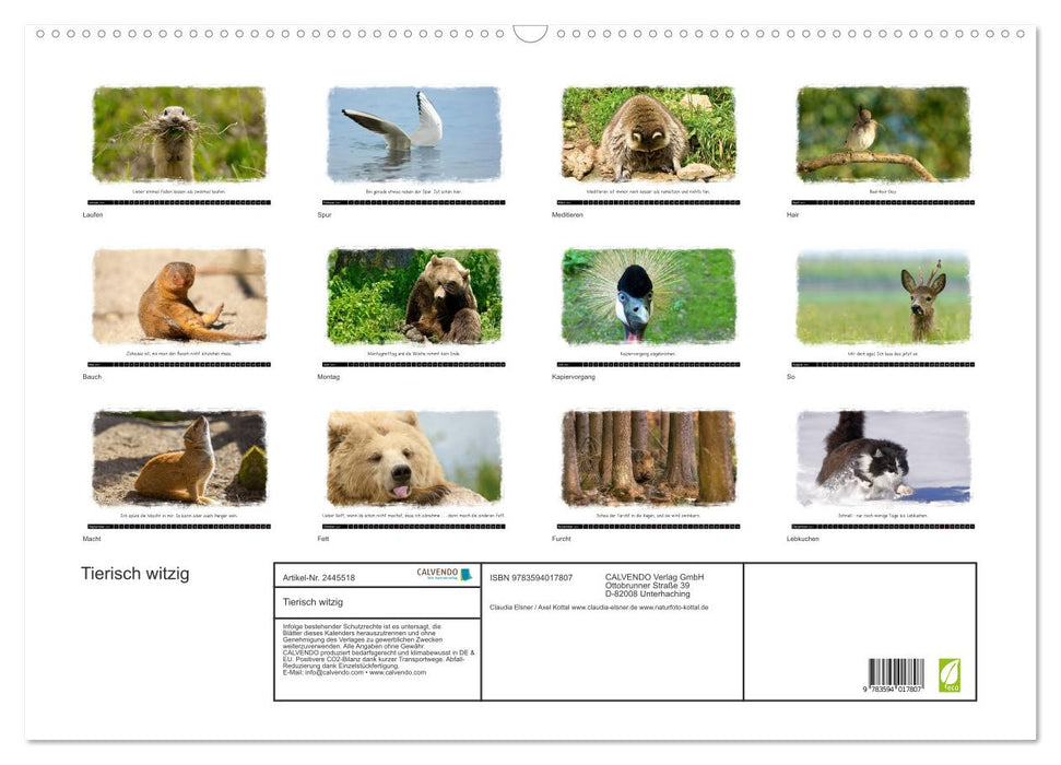 Tierisch witzig (CALVENDO Wandkalender 2027)