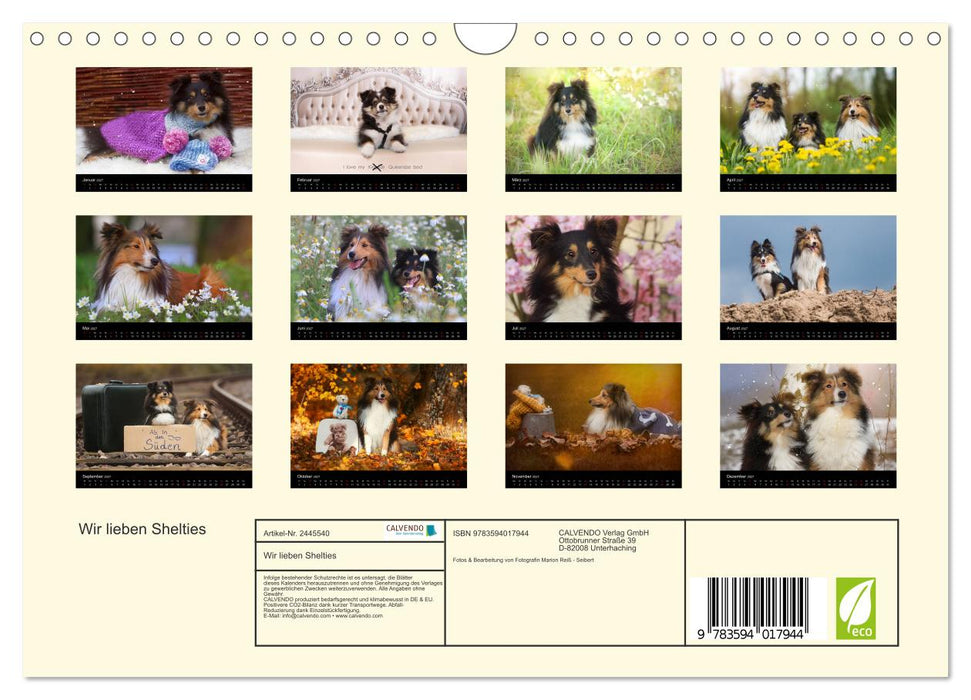 Wir lieben Shelties (CALVENDO Wandkalender 2027)