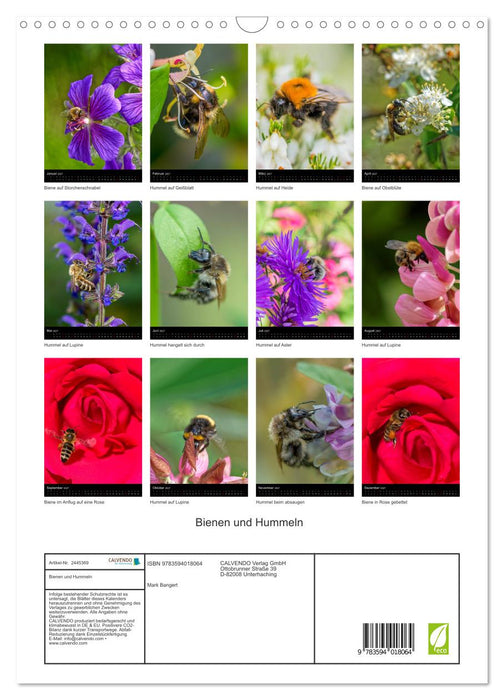 Bienen und Hummeln (CALVENDO Wandkalender 2027)