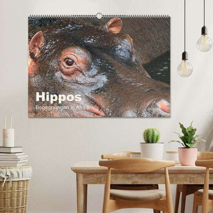 Hippos - Begegnungen in Afrika (CALVENDO Wandkalender 2027)