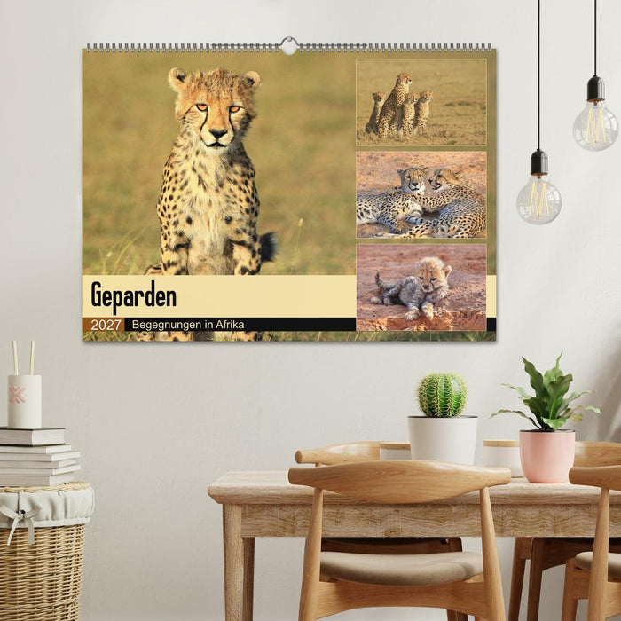 Geparden - Begegnungen in Afrika (CALVENDO Wandkalender 2027)