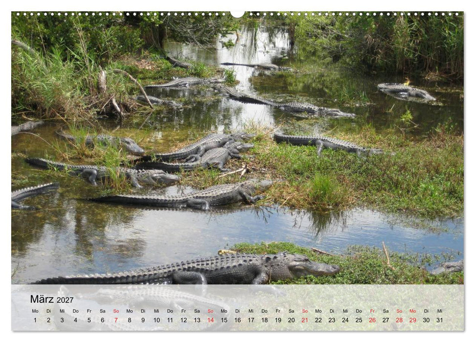Große Echsen. Krokodile und Alligatoren (CALVENDO Wandkalender 2027)