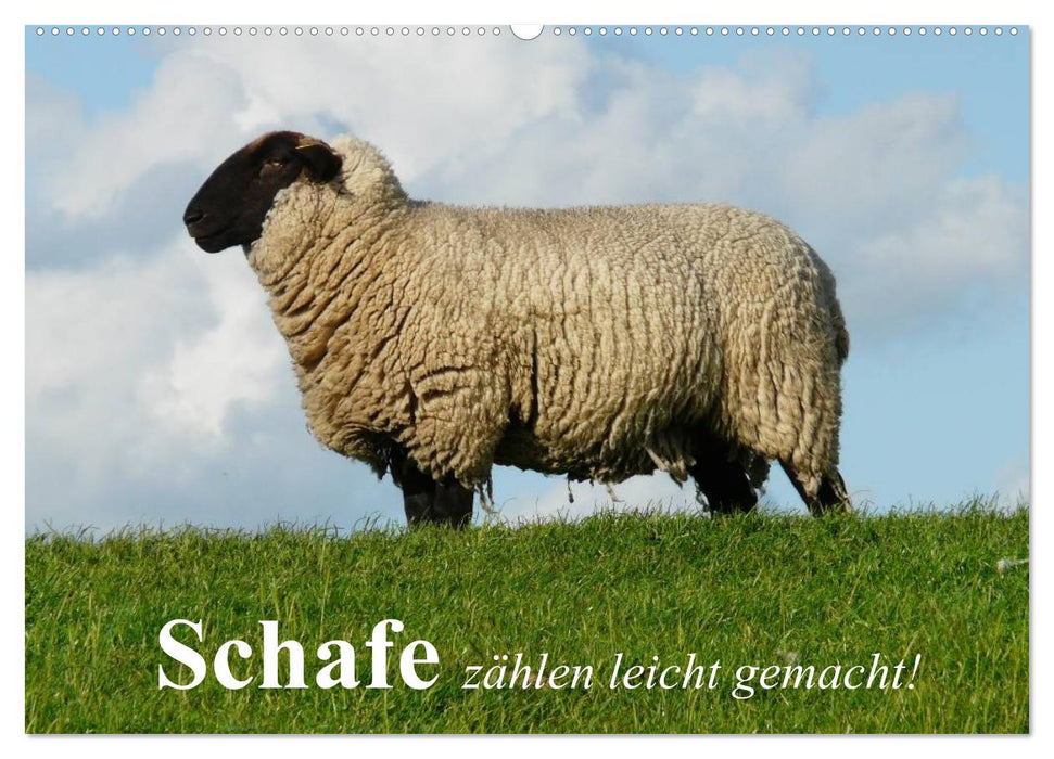 Schafe zählen leicht gemacht! (CALVENDO Wandkalender 2027)