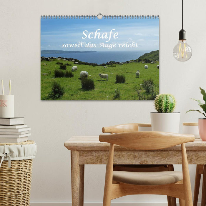 Schafe - soweit das Auge reicht (CALVENDO Wandkalender 2027)
