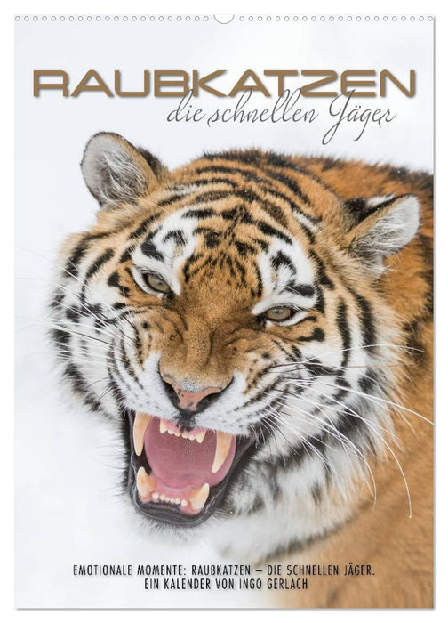 Emotionale Momente: Raubkatzen - die schnellen Jäger. (CALVENDO Wandkalender 2027)