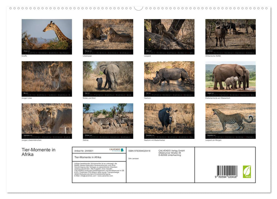 Tier-Momente in Afrika (CALVENDO Premium Wandkalender 2027)