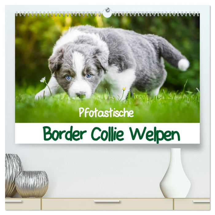Pfotastische Border Collie Welpen (CALVENDO Premium Wandkalender 2027)