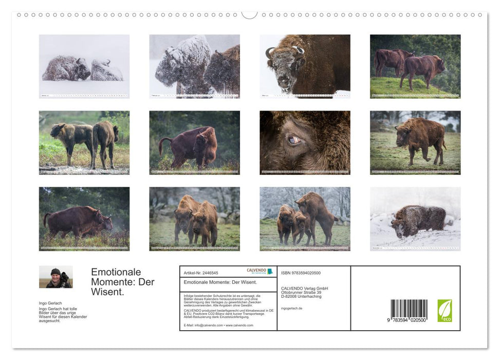 Emotionale Momente: Der Wisent. (CALVENDO Premium Wandkalender 2027)