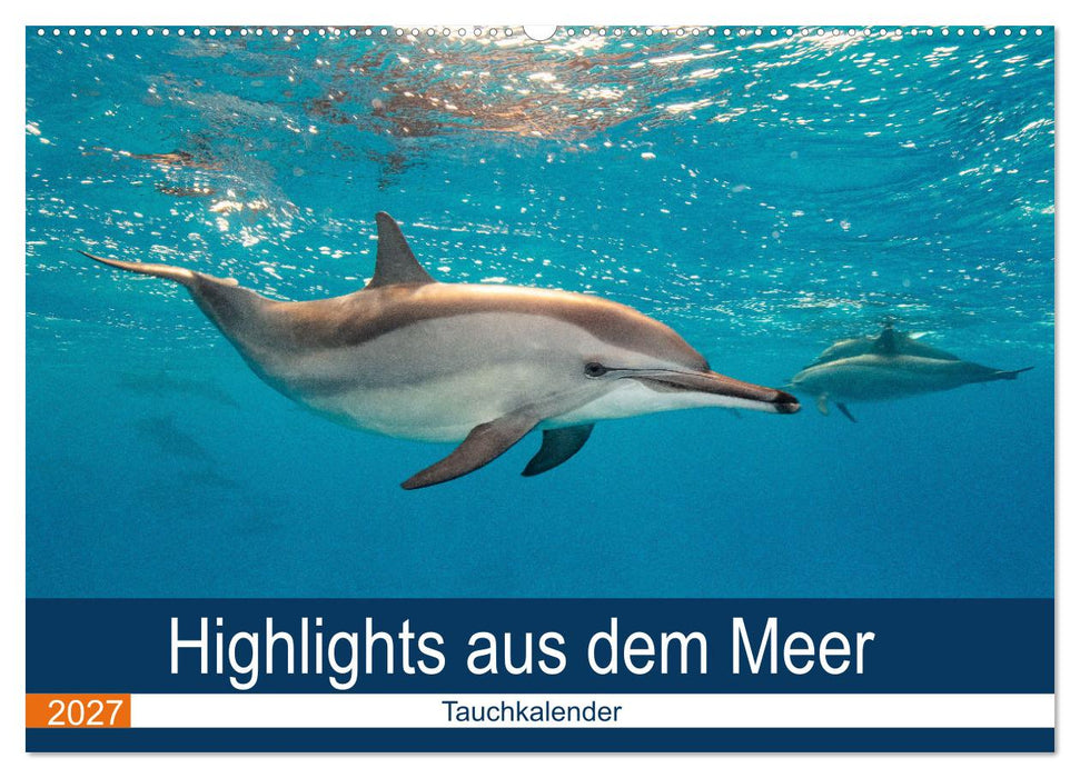 Highlights aus dem Meer - Tauchkalender (CALVENDO Wandkalender 2027)