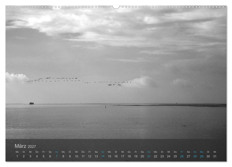 Seestücke. Schwarzweiße Nordseeimpressionen 2027 (CALVENDO Wandkalender 2027)
