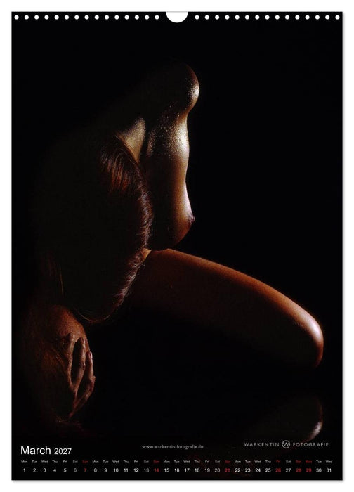 bodyparts (CALVENDO Monthly Calendar 2027)