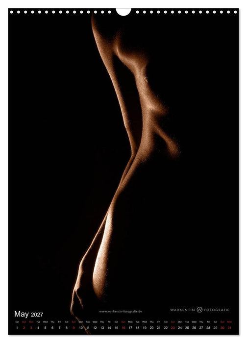 bodyparts (CALVENDO Monthly Calendar 2027)