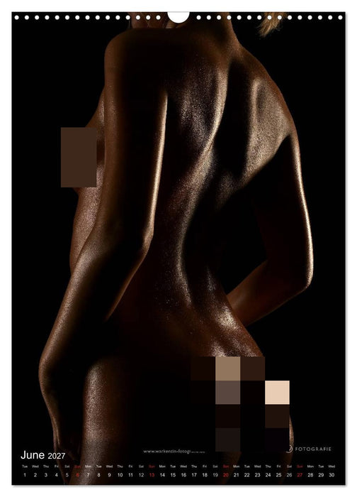 bodyparts (CALVENDO Monthly Calendar 2027)