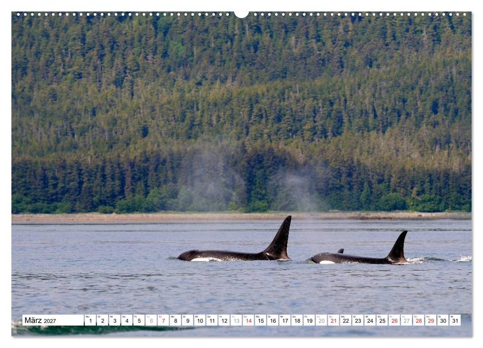 Alaska - Lockruf der Wildnis (CALVENDO Premium Wandkalender 2027)