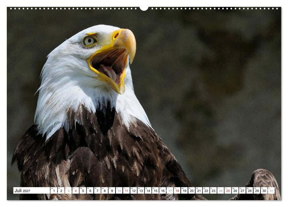 Alaska - Lockruf der Wildnis (CALVENDO Premium Wandkalender 2027)
