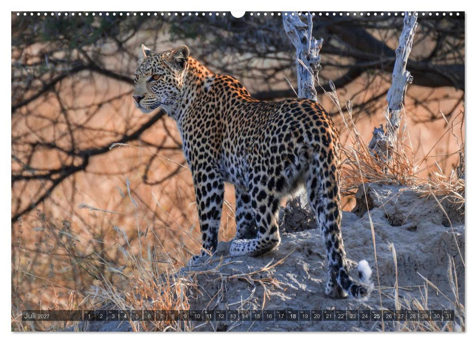 Botswana – Landschaft und Tierwelt (CALVENDO Premium Wandkalender 2027)