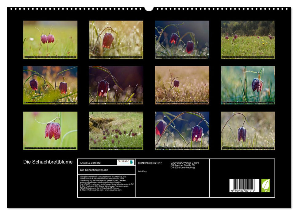 Die Schachbrettblume (CALVENDO Premium Wandkalender 2027)