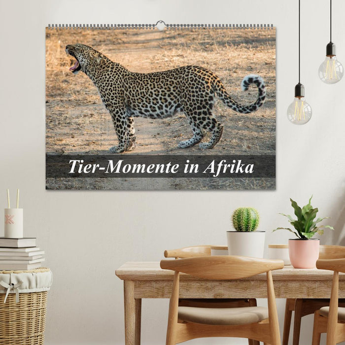 Tier-Momente in Afrika (CALVENDO Wandkalender 2027)