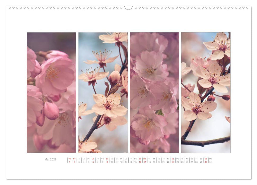 Gartenfreude (CALVENDO Wandkalender 2027)