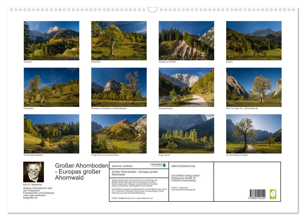 Großer Ahornboden - Europas großer Ahornwald (CALVENDO Wandkalender 2027)