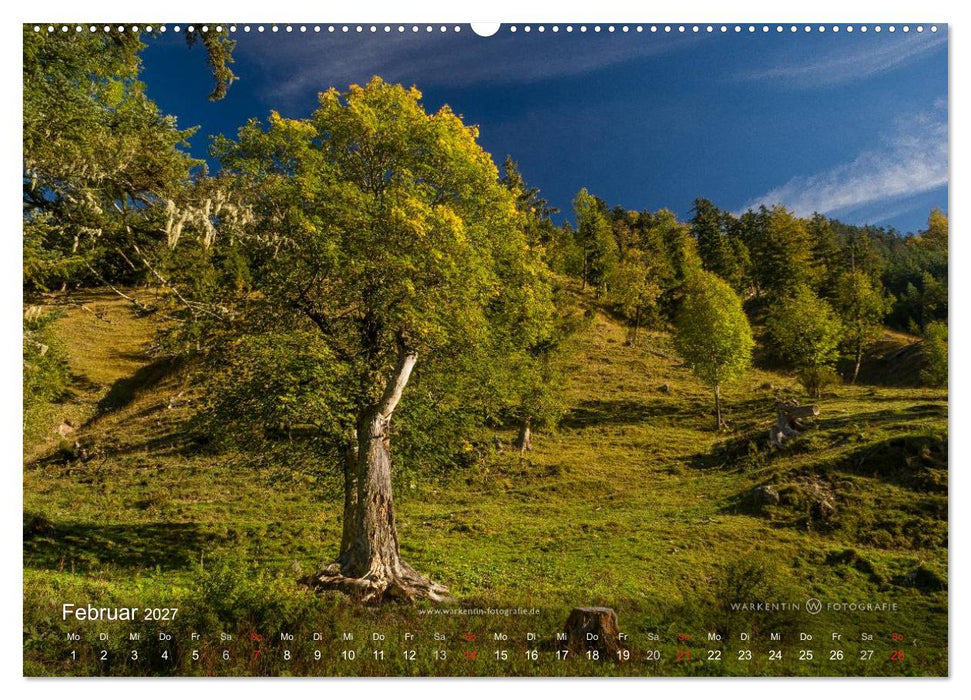 Großer Ahornboden - Europas großer Ahornwald (CALVENDO Wandkalender 2027)