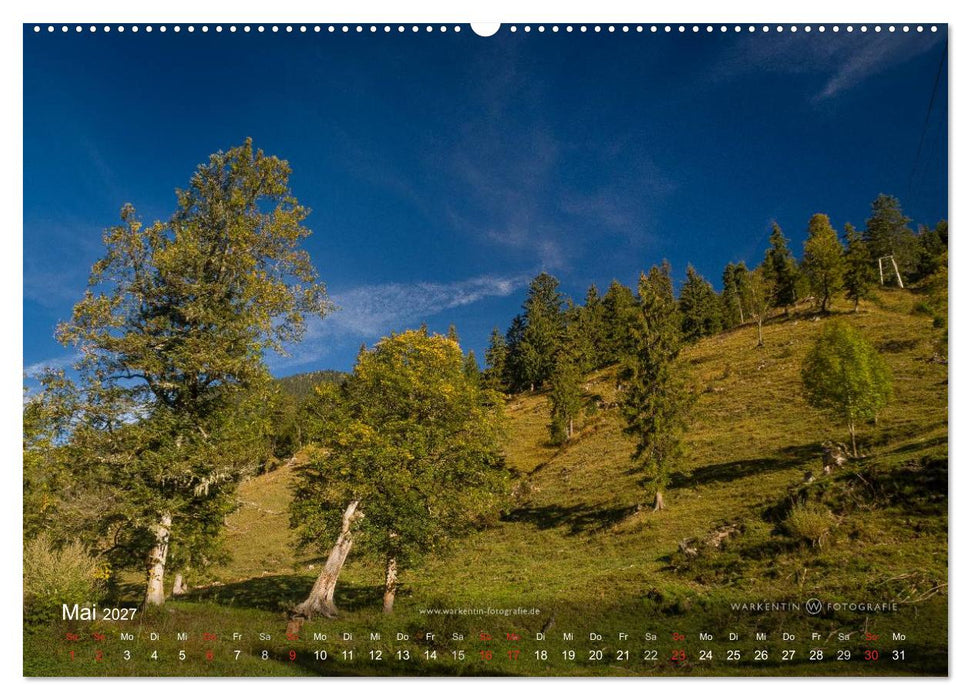 Großer Ahornboden - Europas großer Ahornwald (CALVENDO Wandkalender 2027)