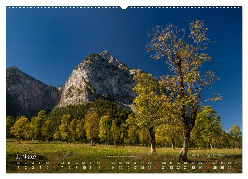 Großer Ahornboden - Europas großer Ahornwald (CALVENDO Wandkalender 2027)