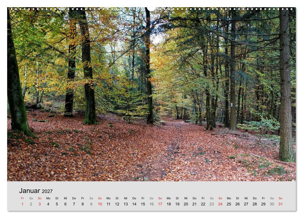 Saarland - unbekannte Schönheit (CALVENDO Wandkalender 2027)