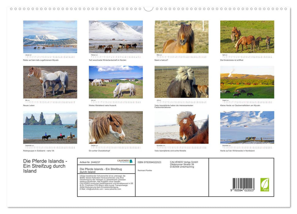 Die Pferde Islands - Ein Streifzug durch Island (CALVENDO Premium Wandkalender 2027)