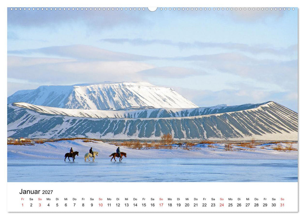 Die Pferde Islands - Ein Streifzug durch Island (CALVENDO Premium Wandkalender 2027)