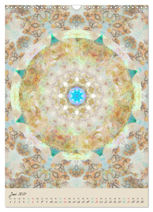 MANDALAS DES LICHTS (CALVENDO Wandkalender 2027)