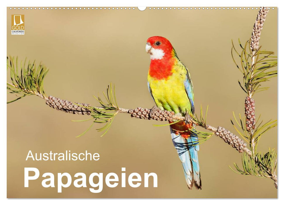 Australische Papageien (CALVENDO Wandkalender 2027)