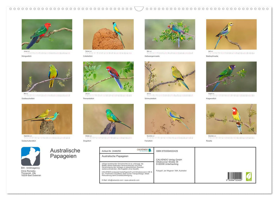Australische Papageien (CALVENDO Wandkalender 2027)