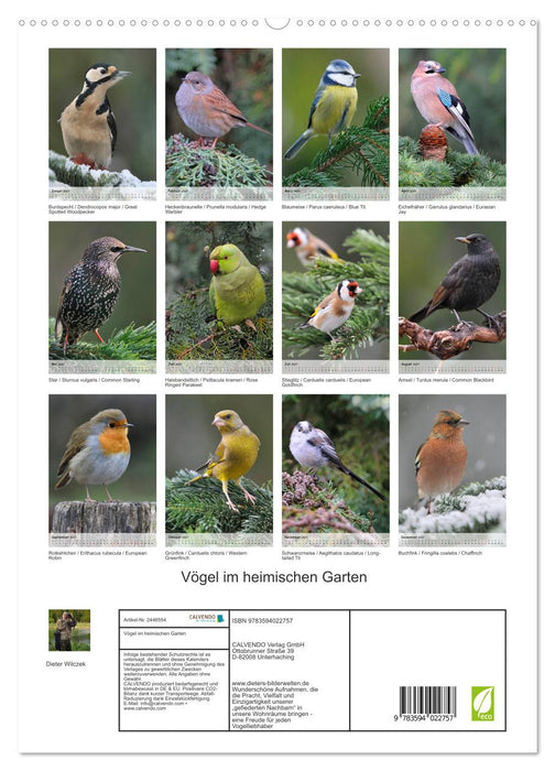 Vögel im heimischen Garten (CALVENDO Premium Wandkalender 2027)