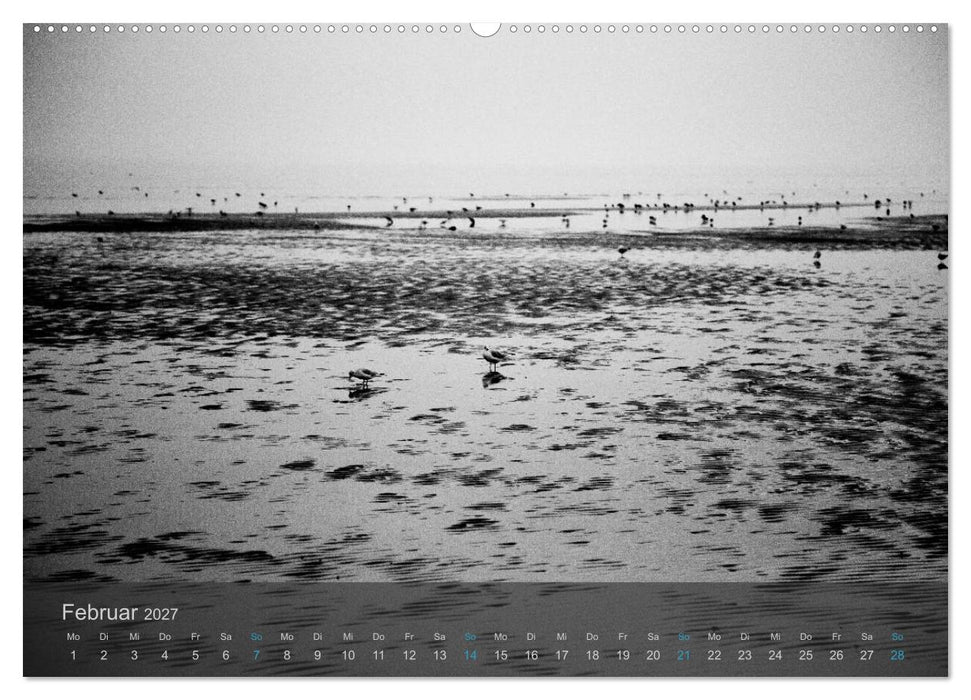 Seestücke. Schwarzweiße Nordseeimpressionen 2027 (CALVENDO Premium Wandkalender 2027)