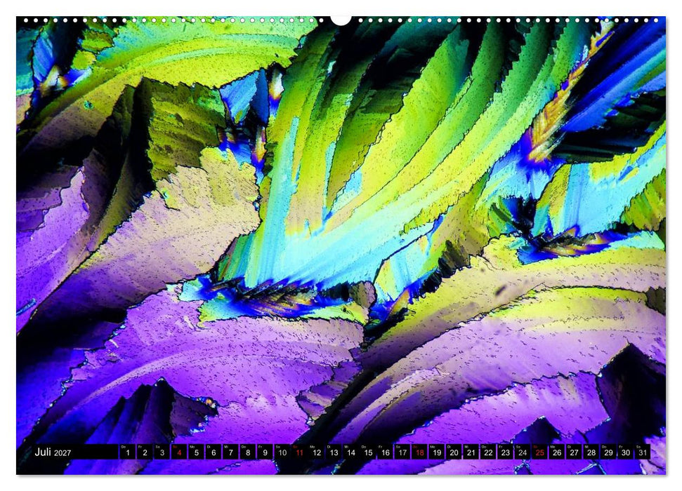 Mikrokristalle in polarisiertem Licht (CALVENDO Premium Wandkalender 2027)